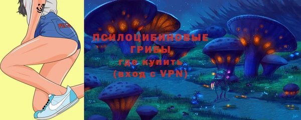 экстази Новодвинск