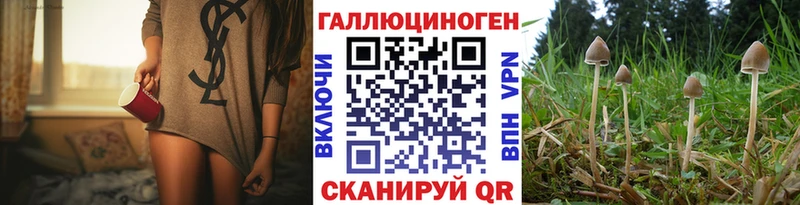 Купить закладки  Дюртюли  Галлюциногенные грибы MAGIC MUSHROOMS 